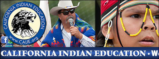 AMERICAN INDIAN EDUCATION