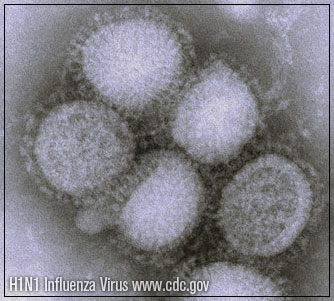 THE SOUTHERN CALIFORNIA BEST SOURCE FOR H1N1 "SWINE FLU" INFORMATION IN SAN DIEGO COUNTY
