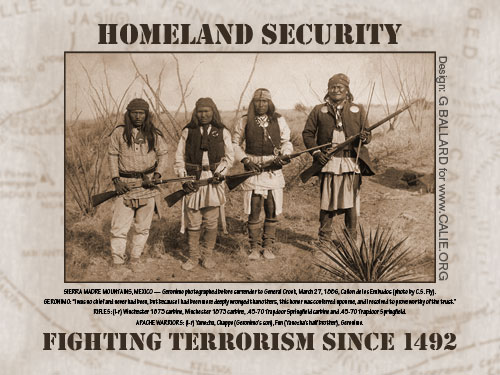 HOMELAND SECURITY POSTER